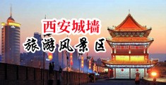 女女同性双双自慰AV免费中国陕西-西安城墙旅游风景区